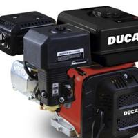 Motor Gasolina Ducati DPE 390 13 HP — foto 1