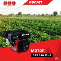 Motor Gasolina Ducati DPE 390 13 HP — foto 2