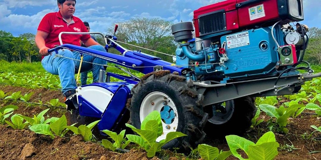 Motocultor JD trabajando en una parcela de tabaco