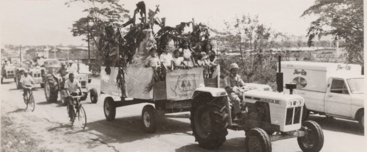 Tractor David Brown 885 halando una carroza en desfile