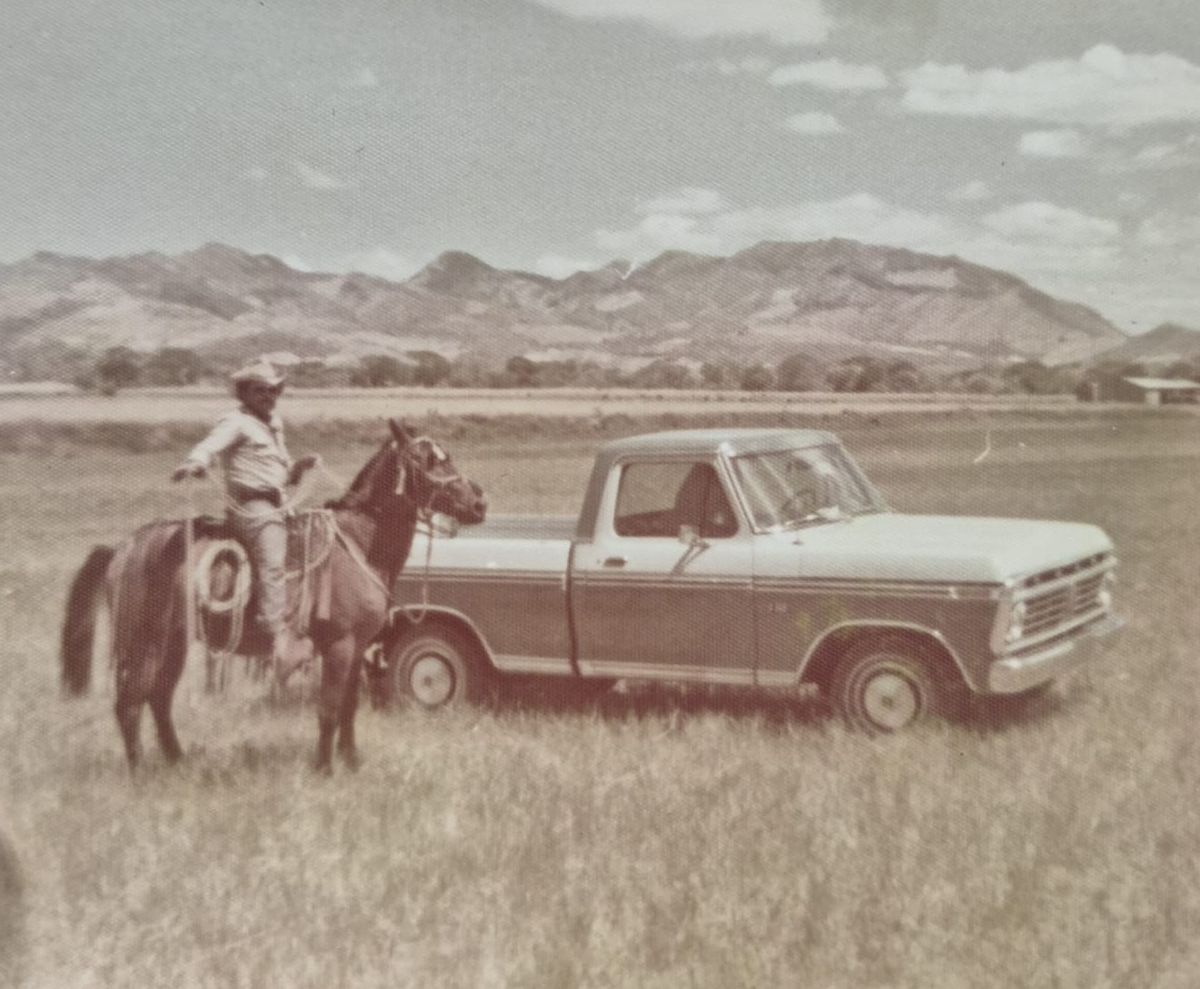 Entrega en el campo de una forrajera GEHL, 1972