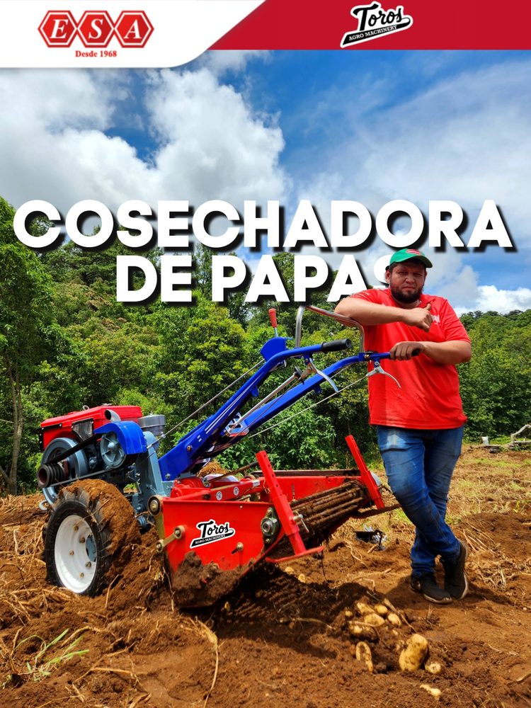 Cosechadora de Papa Toros 14 HP