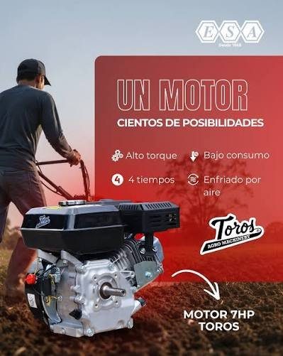 Motor Gasolina Toros 7 HP